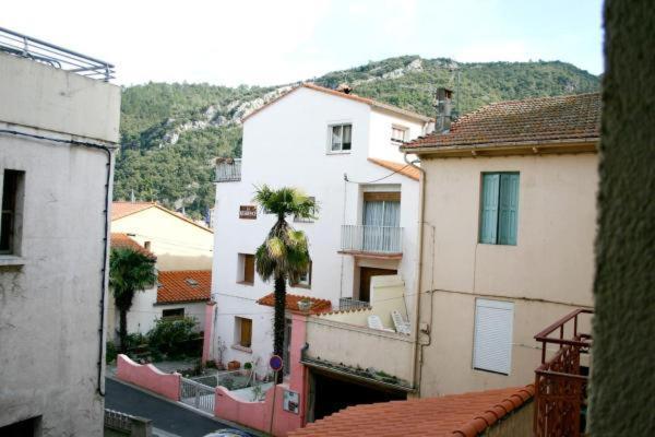 Studio N°1 Agreable Et Bien Situe Amelie-les-Bains-Palalda Exterior photo